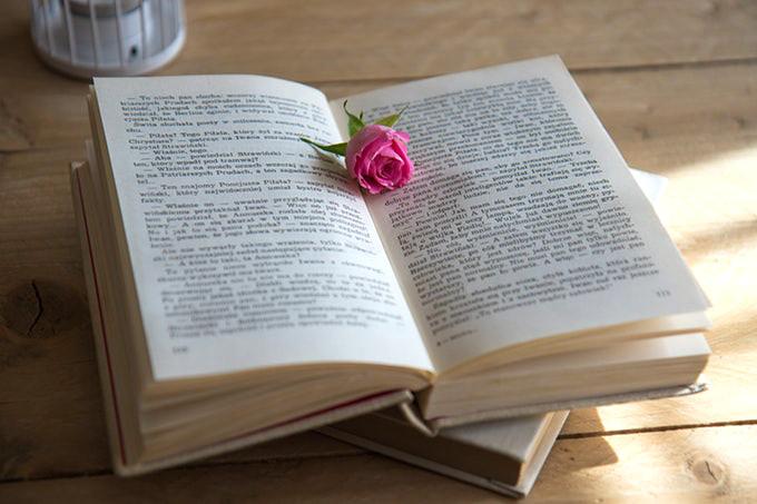 本とピンクのバラ