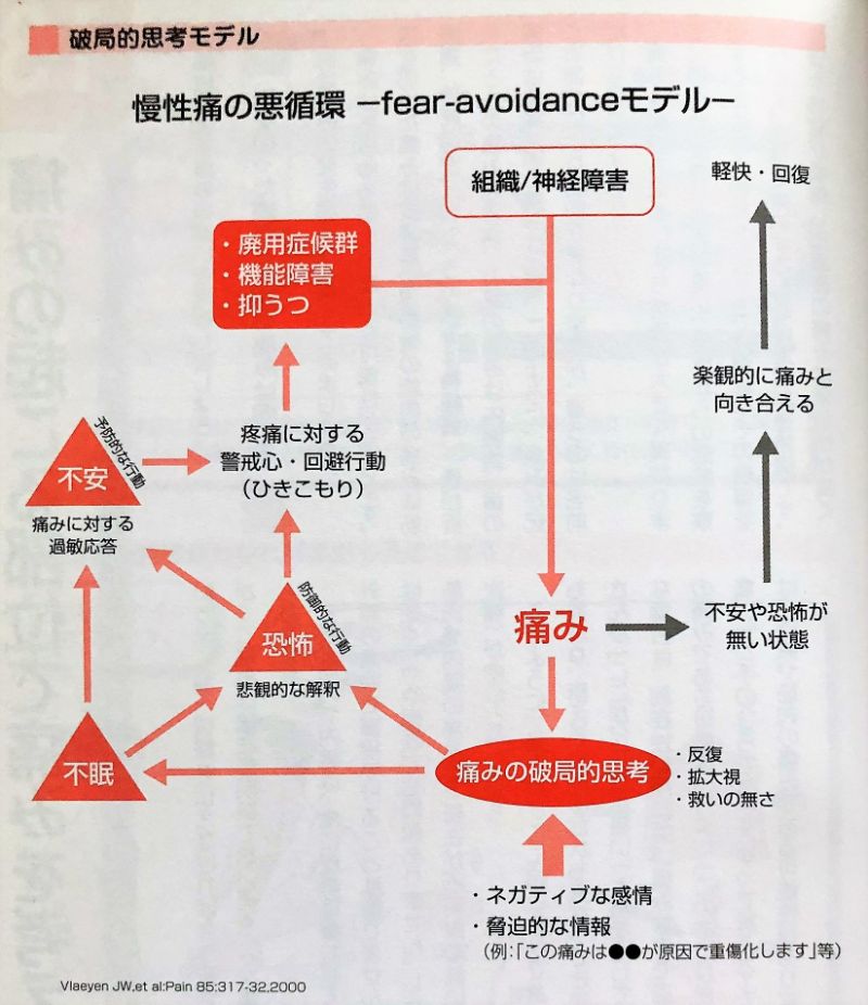 慢性痛の悪循環 ― fear aboidance モデル ―